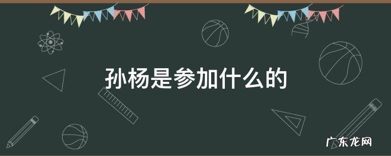 孙杨是参加什么的
