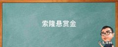 索隆悬赏金