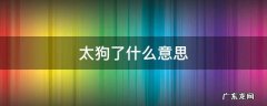 太狗了什么意思