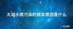 太湖水质污染的根本原因是什么