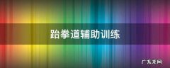 跆拳道辅助训练