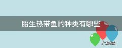胎生热带鱼的种类有哪些