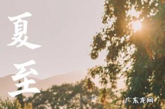 2023年6月21日是什么节气 2023年6月21日节气具体时间