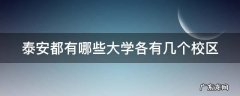 泰安都有哪些大学各有几个校区