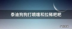 泰迪狗狗打喷嚏和拉稀粑粑