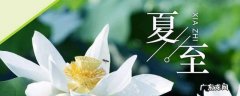 夏至过了白天会越来越短吗,夏至开始白天越来越长还是越来越短