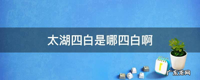 太湖四白是哪四白啊