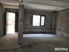 绝对不要收留流浪猫 盐城一小区一夜之间毒死了14只流浪猫，如果抓住投毒人，是否会判投毒
