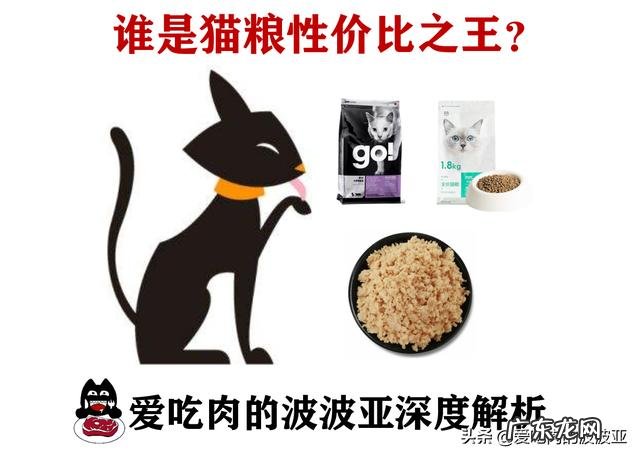 佩玛斯特猫粮到底怎么样 谁是猫粮性价比之王