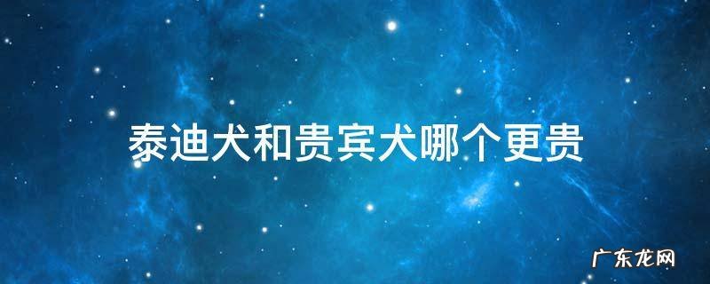 泰迪犬和贵宾犬哪个更贵