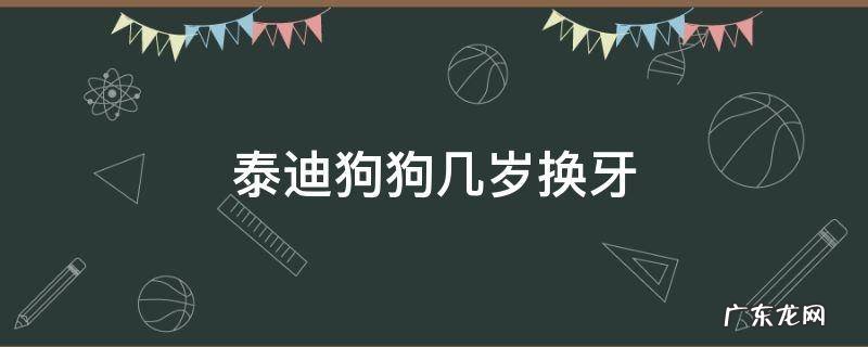 泰迪狗狗几岁换牙