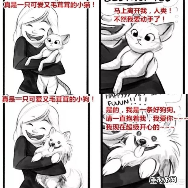 猫咪对主人会有感情吗 猫咪的一生只会认定一个主人吗