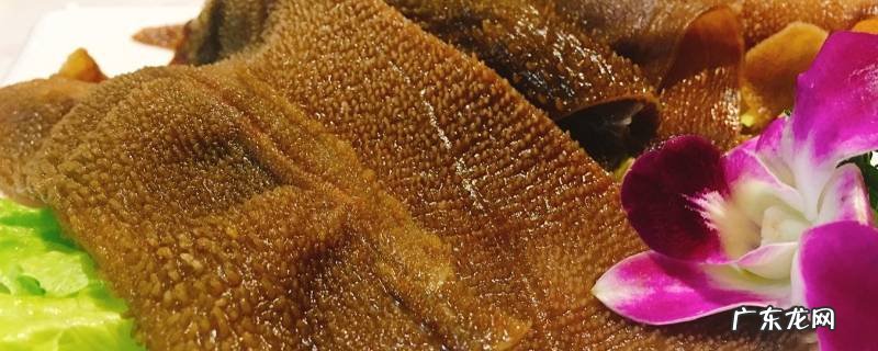 生牛百叶需煮多久能熟