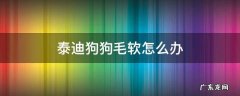 泰迪狗狗毛软怎么办