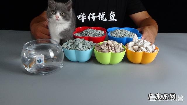 缸养金鱼 玻璃缸养鱼为什么经常死