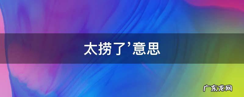 太捞了’意思