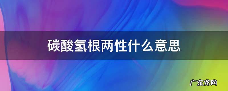碳酸氢根两性什么意思