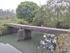 养狗注意事项 为什么要养狗呢