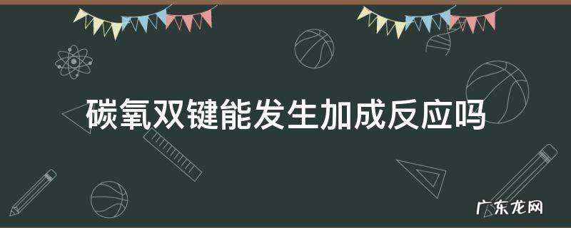 碳氧双键能发生加成反应吗