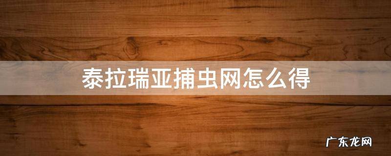 泰拉瑞亚捕虫网怎么得