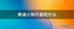 泰迪小狗不能吃什么