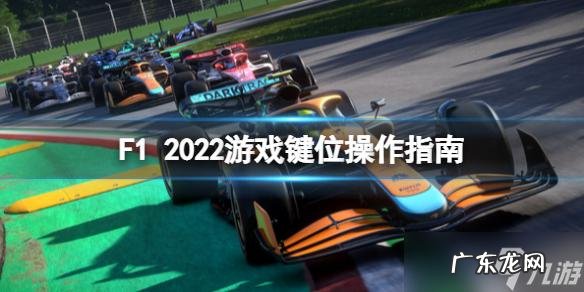 教你F1 2014键盘和手柄操作方法!