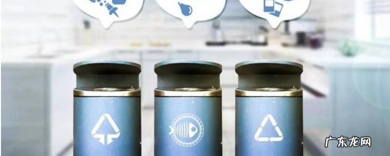 螃蟹壳贝壳属于什么垃圾分类,螃蟹,贝壳属于什么垃圾