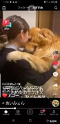 不喜欢养狗 孩子和他爸想养狗?，我不想养，该养吗