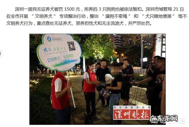 没狗证会上家里抓狗吗 没有狗证的狗狗会被抓走吗,被抓走会如何处理