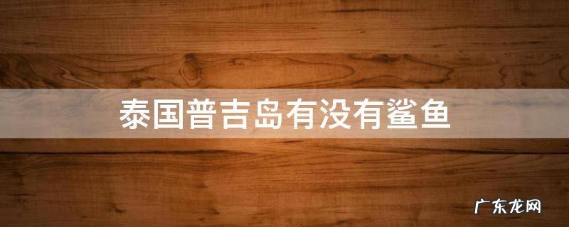 泰国普吉岛有没有鲨鱼