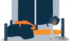 公猫和母猫哪个好养 每天跟猫猫睡一起好吗