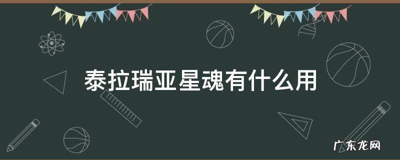 泰拉瑞亚星魂有什么用