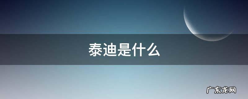 泰迪是什么