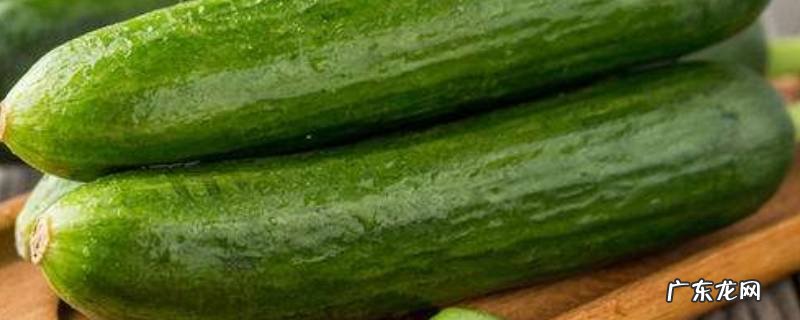 水果黄瓜怎么保存时间长,水果黄瓜怎么保存时间长一些