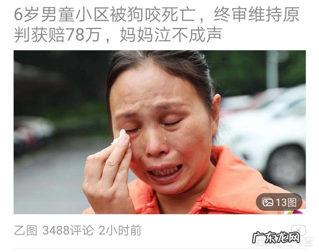 怎么养狗 养狗是爱好还是出于爱心