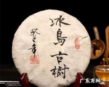 冰岛古树茶多少钱一斤？冰岛老寨茶怎么卖？冰岛老寨茶