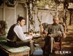 人生必看10大经典电影短视频,部部精彩绝伦!