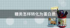 糖类怎样转化为蛋白质