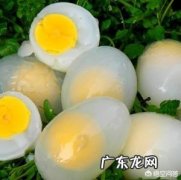 鸽子蛋一天吃几个补肾 鸽子蛋到底有多补