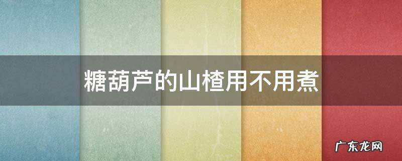 糖葫芦的山楂用不用煮