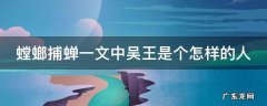 螳螂捕蝉一文中吴王是个怎样的人