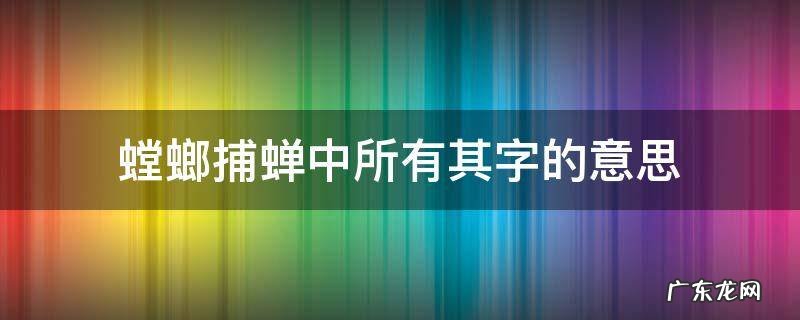 螳螂捕蝉中所有其字的意思