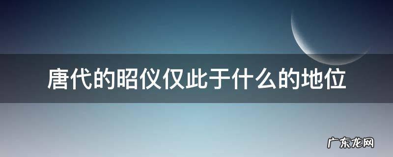 唐代的昭仪仅此于什么的地位
