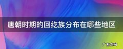 唐朝时期的回纥族分布在哪些地区