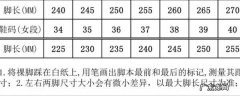 240是多少码,240是多少码数