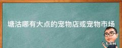 塘沽哪有大点的宠物店或宠物市场