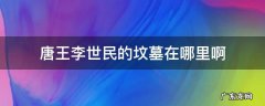 唐王李世民的坟墓在哪里啊