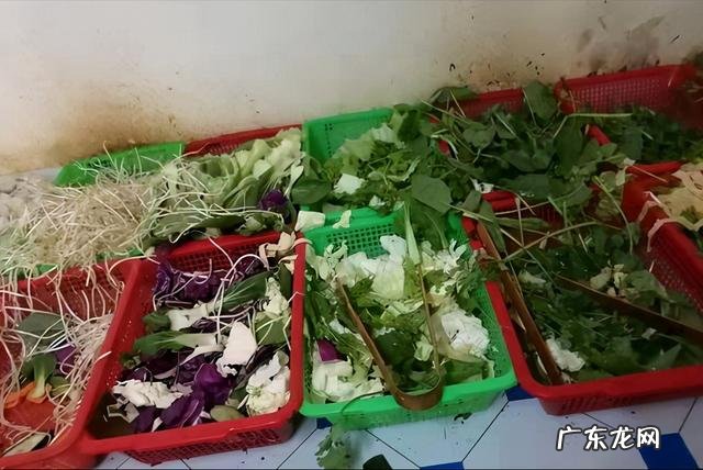 不简单的味道 东北小伙趁症状轻炫1天麻辣烫过瘾