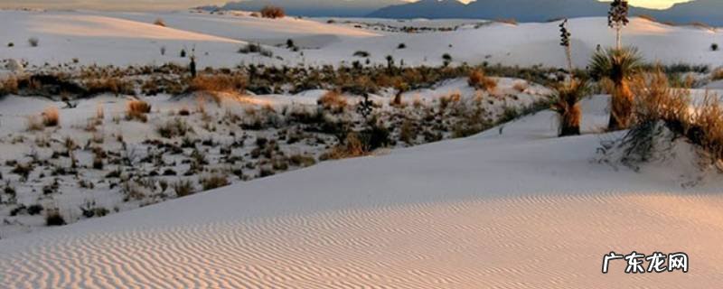 中国沙漠面积减少了吗,中国沙漠面积减少了吗知乎