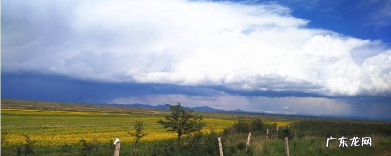 青海在哪里属于哪个省,青海在哪里属于哪个省会